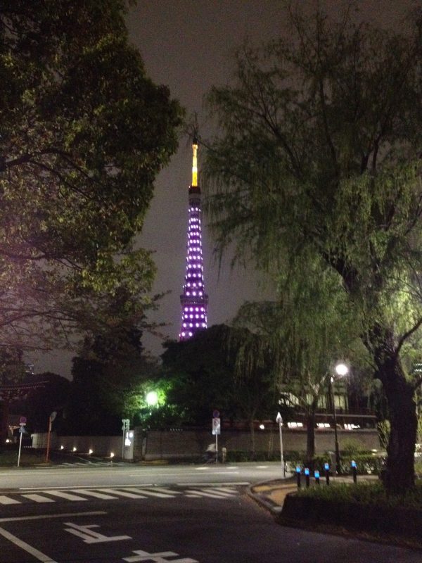 Tokyo Tower, Rediscover Tours