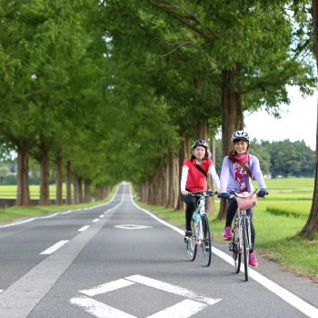 Cycling Lake Biwa & Kyoto