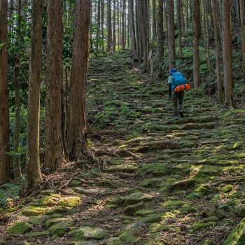 Kumano Ancient Trail – Small Group