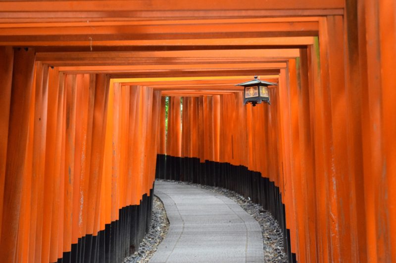 Fushimi Inari in Kyoto, Japan Tours, RediscoverTours.com