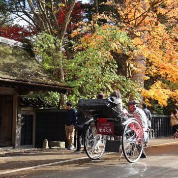 tour northern japan