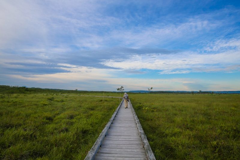 Marshlands of Hokkaido