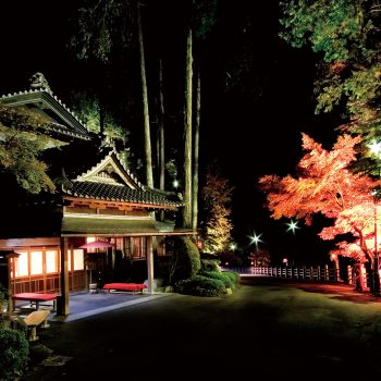 Ancient Japan & Shodoshima Tour