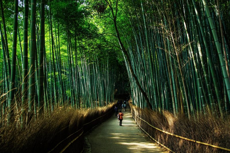 Kyoto - Arashiyama, Japan Tours, RediscoverTours.com